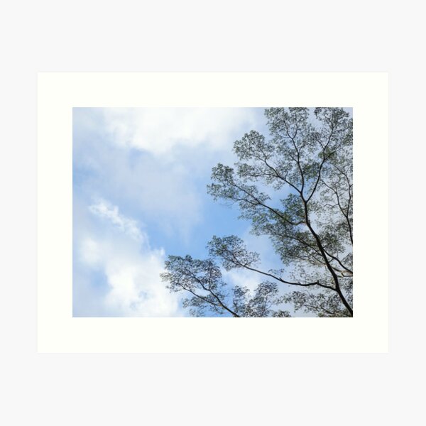 Item preview, Lace of leaves touching blue skies designed and sold by Inessa Imayeva.