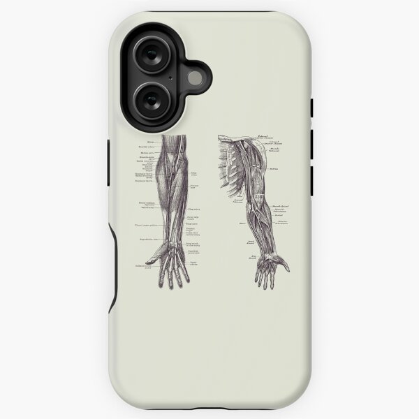 Item preview, Arm and Hand Diagram - Dual View - Vintage Anatomy 2 designed and sold by VAposters.