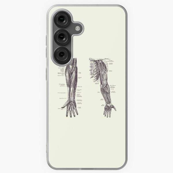 Item preview, Arm and Hand Diagram - Dual View - Vintage Anatomy 2 designed and sold by VAposters.