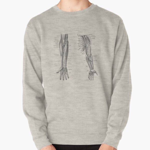Item preview, Arm and Hand Diagram - Dual View - Vintage Anatomy 2 designed and sold by VAposters.