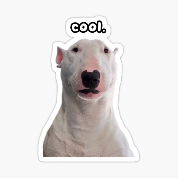 Item preview, @PupperNelson: cool. designed and sold by PupperNelson.