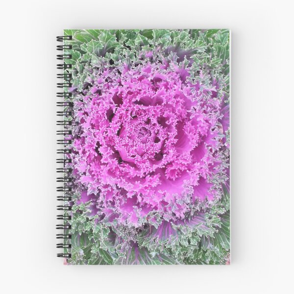 Item preview, Pink and green winter cabbage designed and sold by Jane Starr Weils.