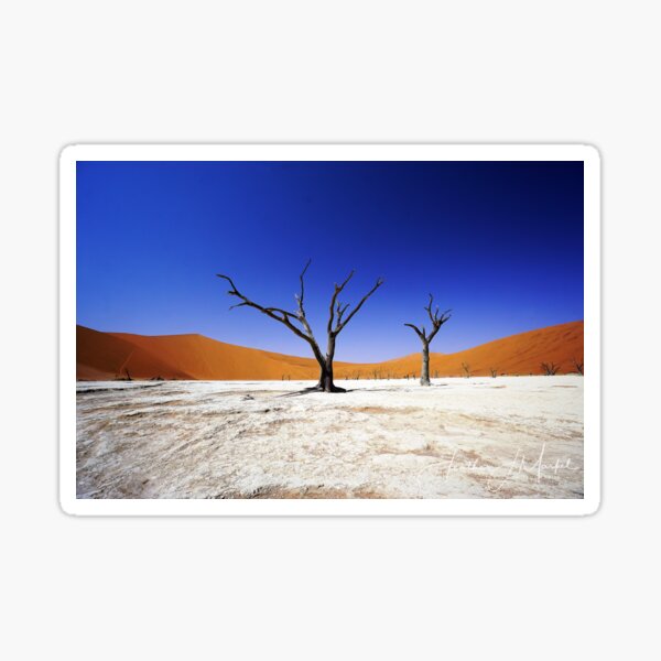 Item preview, Dead Acacia Forest, Namibia designed and sold by For The Love Of Travel.