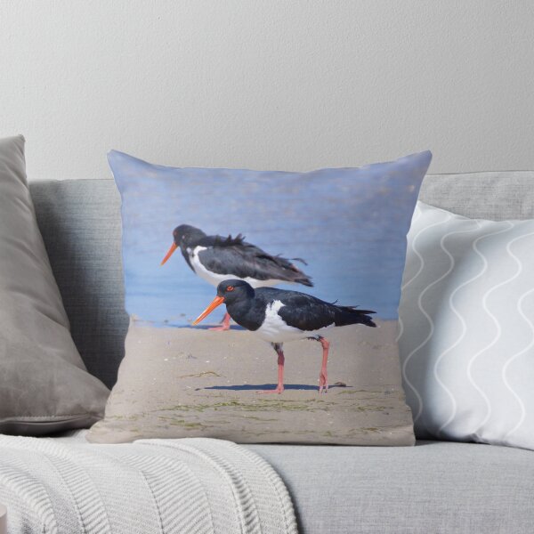 Item preview, SHOREBIRD ~ Pied Oystercatcher hW72sWhJ by David Irwin designed and sold by tasmanianartist.