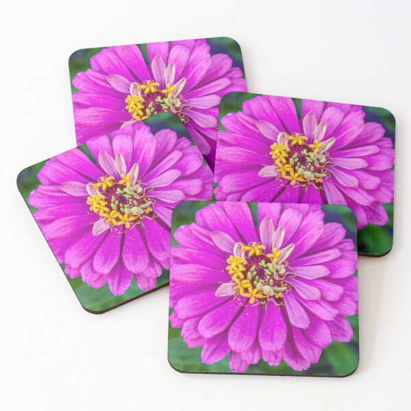 Item preview, "Pink Marigolds" Image by Rich AMeN Gill designed and sold by RichAMeNGill.