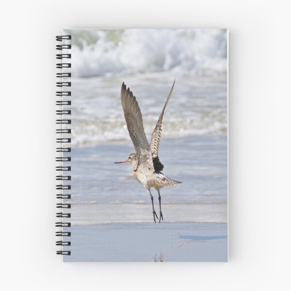 Item preview, SHOREBIRD ~ Bar-tailed Godwit fHb2rPXS by David Irwin designed and sold by tasmanianartist.