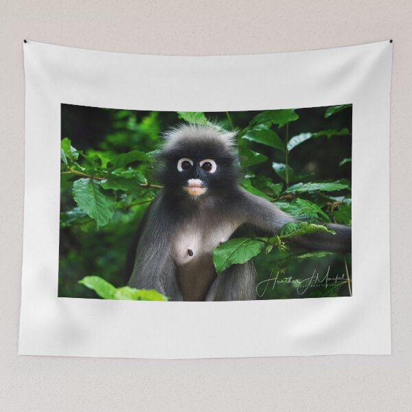 Item preview, Dusky langur monkey in Thailand designed and sold by For The Love Of Travel.