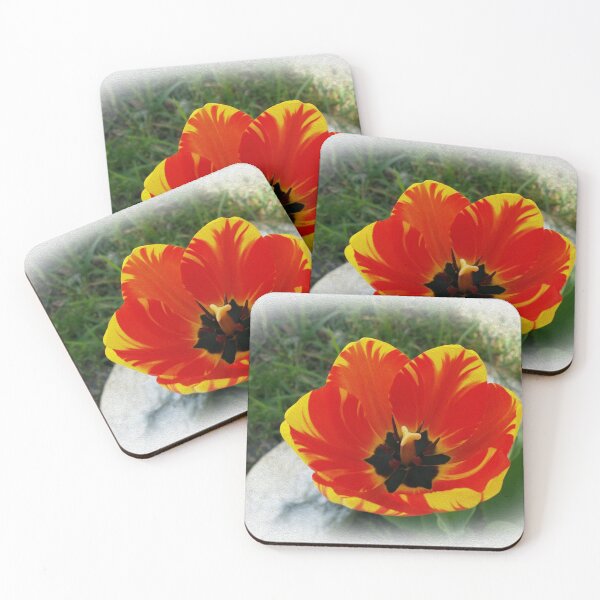 Item preview, Red yellow tulip designed and sold by feiermar.