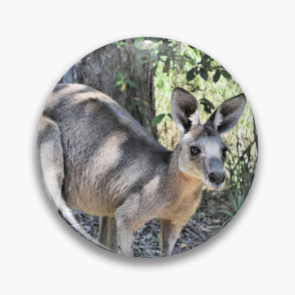 Item preview, Young Kangaroo designed and sold by Margaret Stevens.