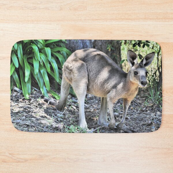 Item preview, Young Kangaroo designed and sold by Margaret Stevens.