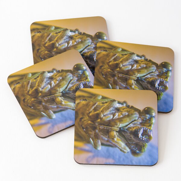 Item preview, Preserved Cicada Macro Photography designed and sold by Akitsu.
