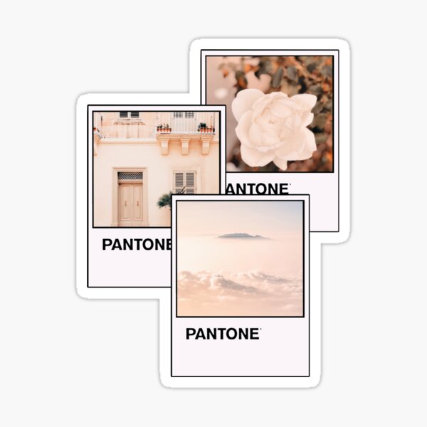 Pantone brown beige iPad Case & Skin for Sale by papillon-insula