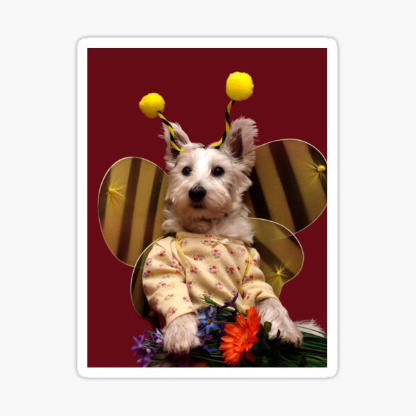 Bella the Bee Sticker