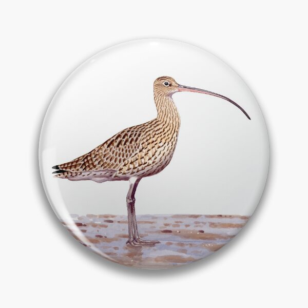 Item preview, Far-eastern Curlew painting designed and sold by kokayart.