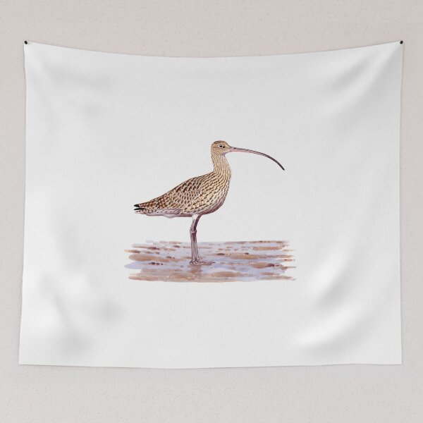 Item preview, Far-eastern Curlew painting designed and sold by kokayart.