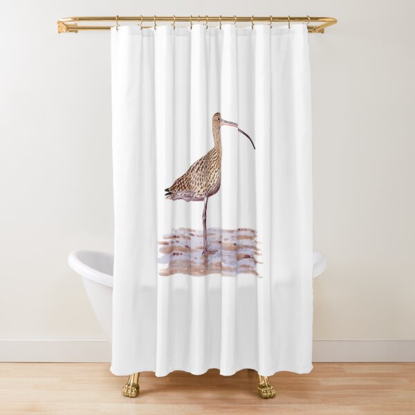 Far-eastern Curlew painting Shower Curtain
