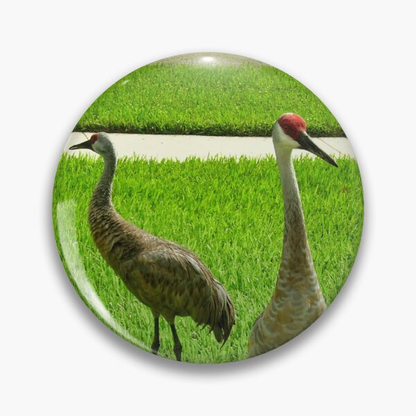 Item preview, Pair of Sandhill Cranes in Florida designed and sold by Akitsu.