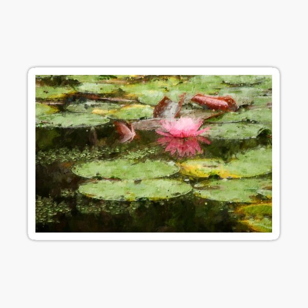 Pink Lily Pad Flower Art Sticker