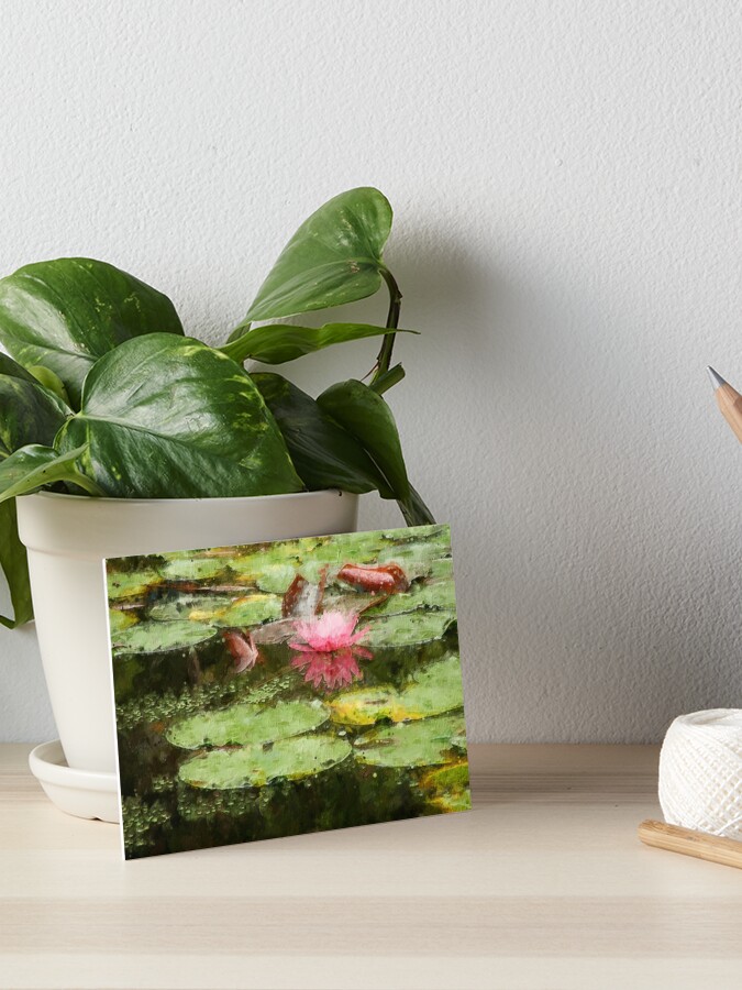 Pink Lily Pad Flower Art Art Board Print By Myphotoasart Redbubble