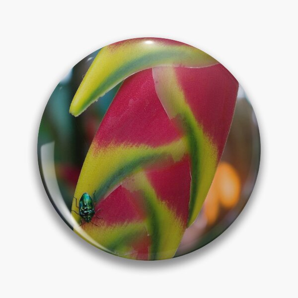 Item preview, Attraction designed and sold by Kerryn Madsen-Pietsch.