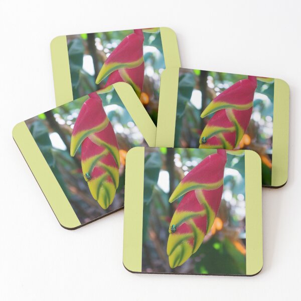 Item preview, Attraction designed and sold by Kerryn Madsen-Pietsch.