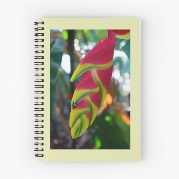 Item preview, Attraction designed and sold by Kerryn Madsen-Pietsch.