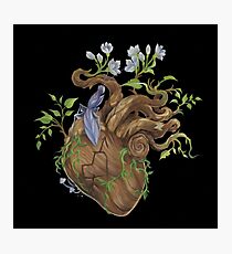 Heart - Wood Photographic Print