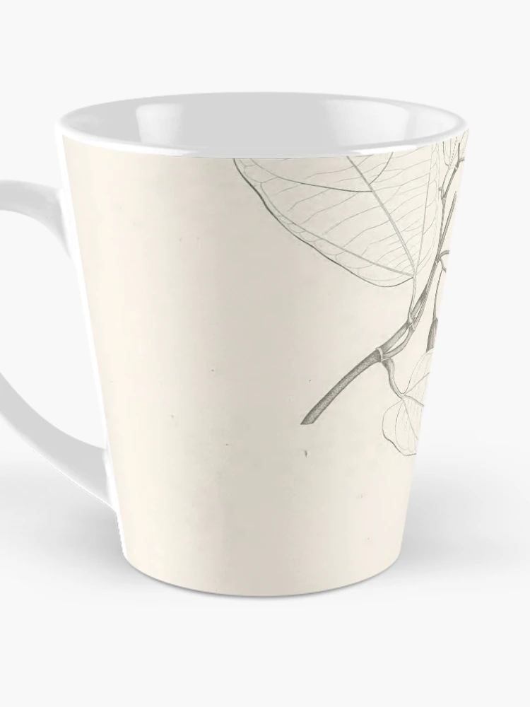 Thumbnail 3 von 4, Kaffeebecher, Nova genera et species plantarum... designt und verkauft von Rodeoclash.