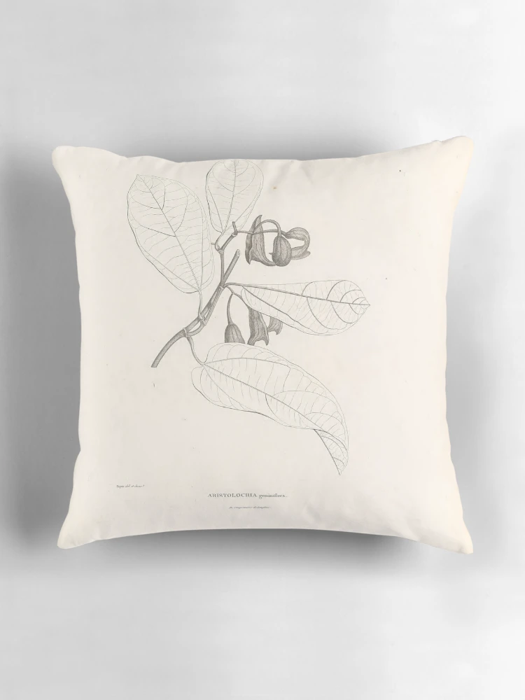 Aperçu 3 sur 4. Coussin avec l'œuvre Nova genera et species plantarum... créée et vendue par Rodeoclash.