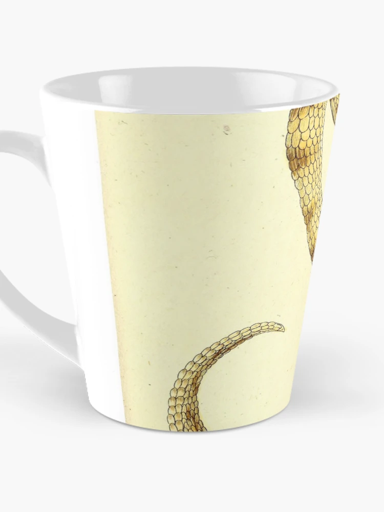 Aperçu 3 sur 4. Mug à café avec l'œuvre Getreue Abbildungen naturhistorischer Gegenstände in... créée et vendue par Rodeoclash.