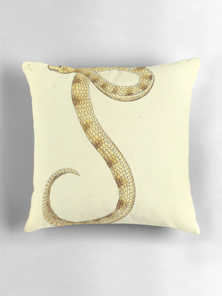 Aperçu 3 sur 4. Coussin avec l'œuvre Getreue Abbildungen naturhistorischer Gegenstände in... créée et vendue par Rodeoclash.