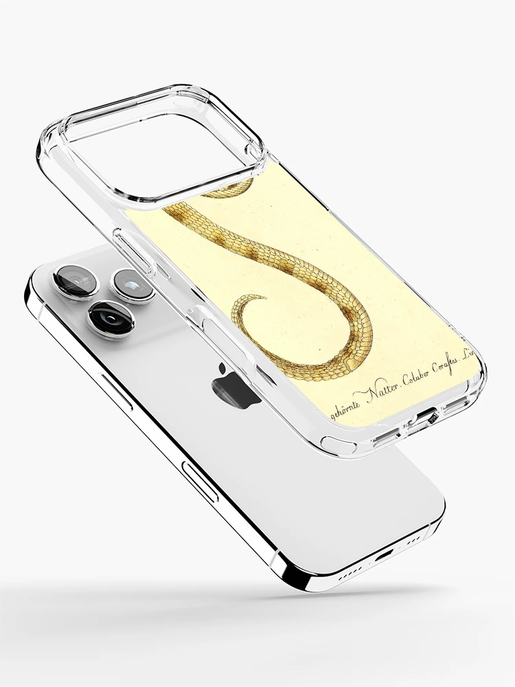Imagen 2 de 5, Funda de iPhone con la obra Getreue Abbildungen naturhistorischer Gegenstände in..., diseñada y vendida por Rodeoclash.