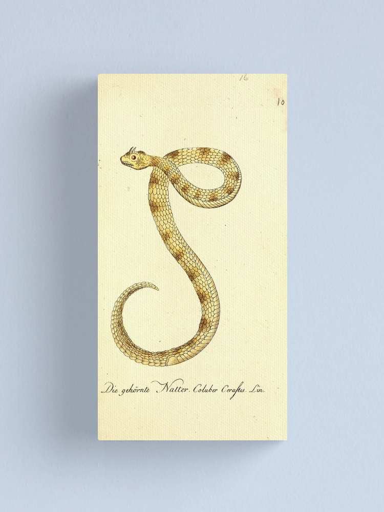 Imagen 1 de 3, Lienzo con la obra Getreue Abbildungen naturhistorischer Gegenstände in..., diseñada y vendida por Rodeoclash.