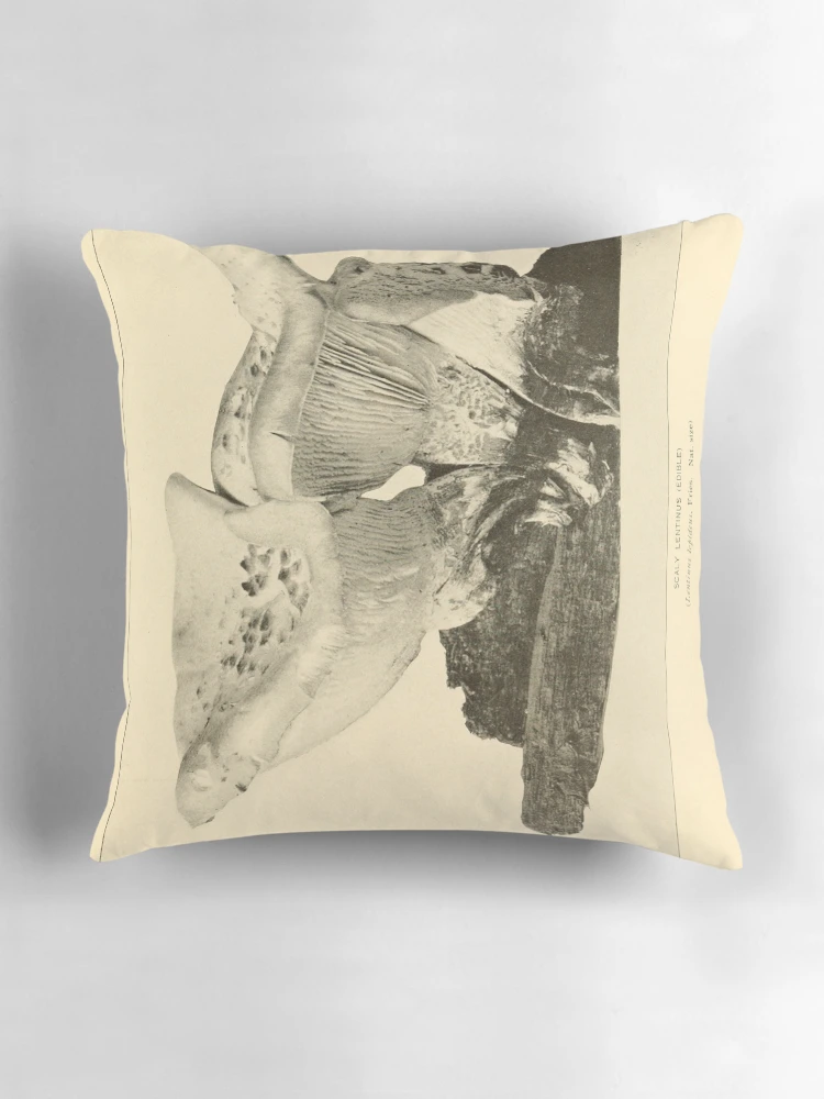 Aperçu 3 sur 4. Coussin avec l'œuvre The mushroom book... créée et vendue par Rodeoclash.