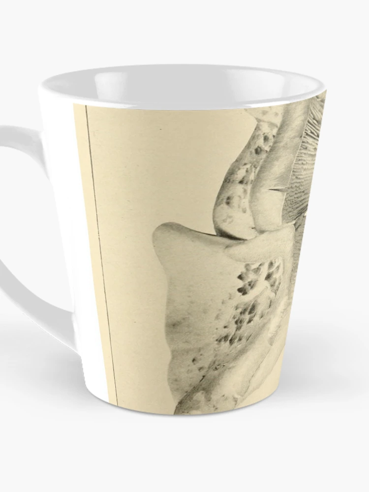 Aperçu 3 sur 4. Mug à café avec l'œuvre The mushroom book... créée et vendue par Rodeoclash.