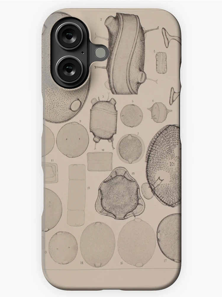 Aperçu 1 sur 4. Coque iPhone avec l'œuvre Atlas der DiatomaceenKunde Leipzig OR... créée et vendue par Rodeoclash.