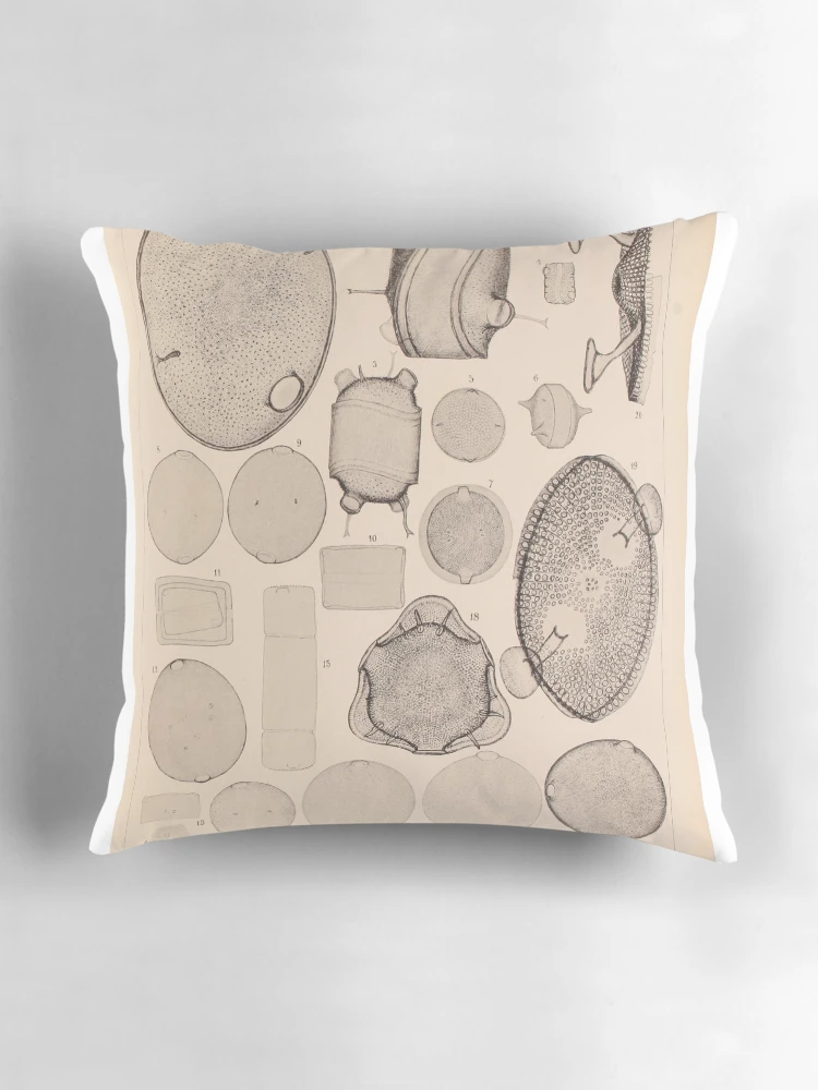 Aperçu 3 sur 4. Coussin avec l'œuvre Atlas der DiatomaceenKunde Leipzig OR... créée et vendue par Rodeoclash.