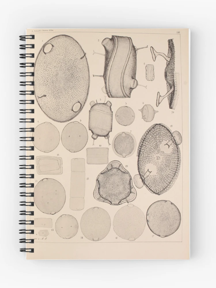 Imagen 1 de 3, Cuaderno con la obra Atlas der DiatomaceenKunde Leipzig OR..., diseñada y vendida por Rodeoclash.