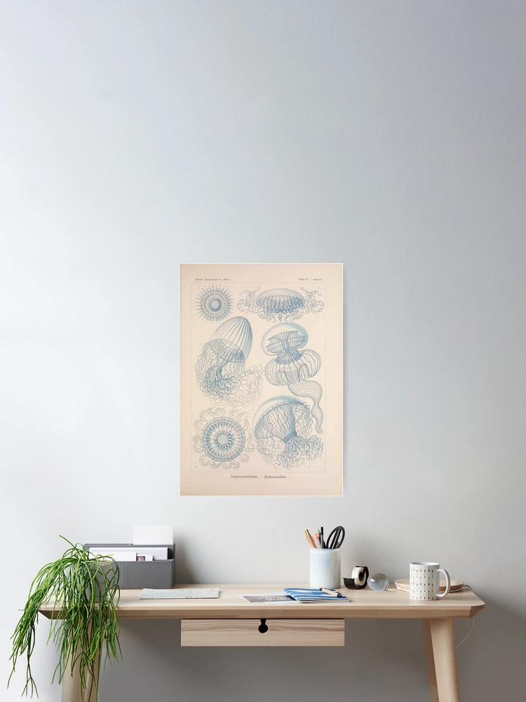 Thumbnail 2 von 3, Poster, Kunstformen der Natur... designt und verkauft von Rodeoclash.