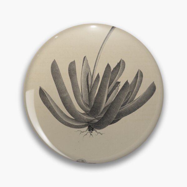 Item preview, Monographia generum aloes et mesembryanthemi... designed and sold by Rodeoclash.