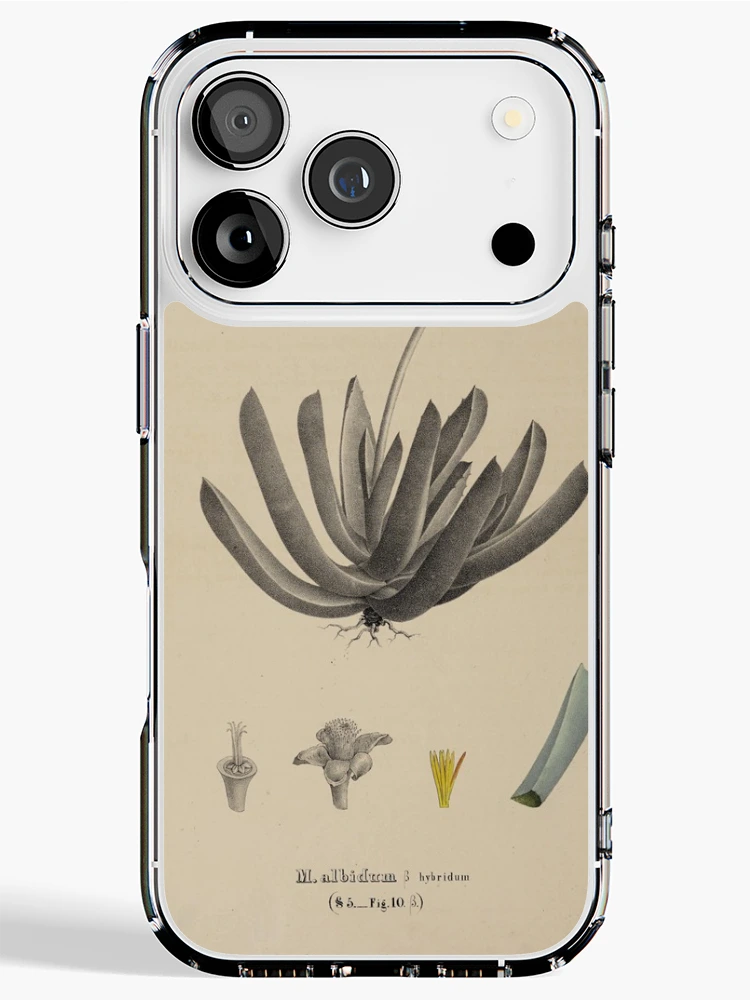 Imagen 1 de 5, Funda de iPhone con la obra Monographia generum aloes et mesembryanthemi..., diseñada y vendida por Rodeoclash.