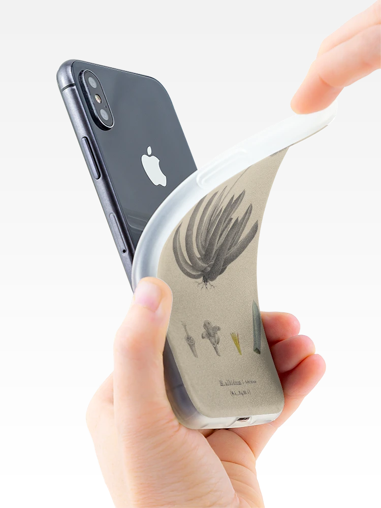 Imagen 4 de 5, Funda de iPhone con la obra Monographia generum aloes et mesembryanthemi..., diseñada y vendida por Rodeoclash.