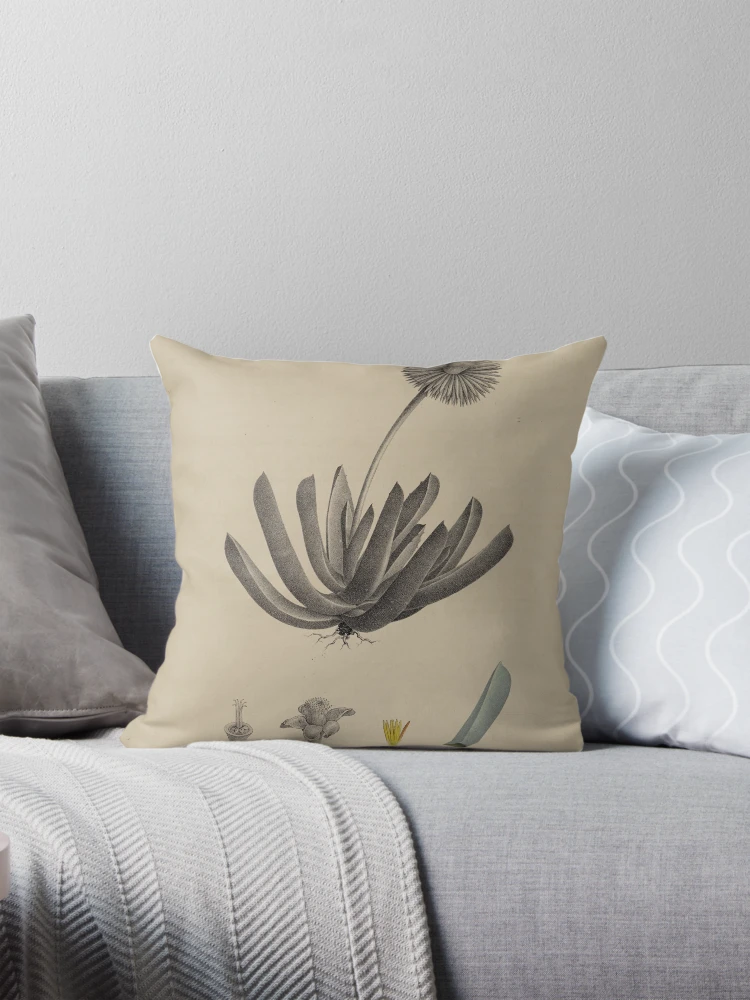 Aperçu 1 sur 4. Coussin avec l'œuvre Monographia generum aloes et mesembryanthemi... créée et vendue par Rodeoclash.