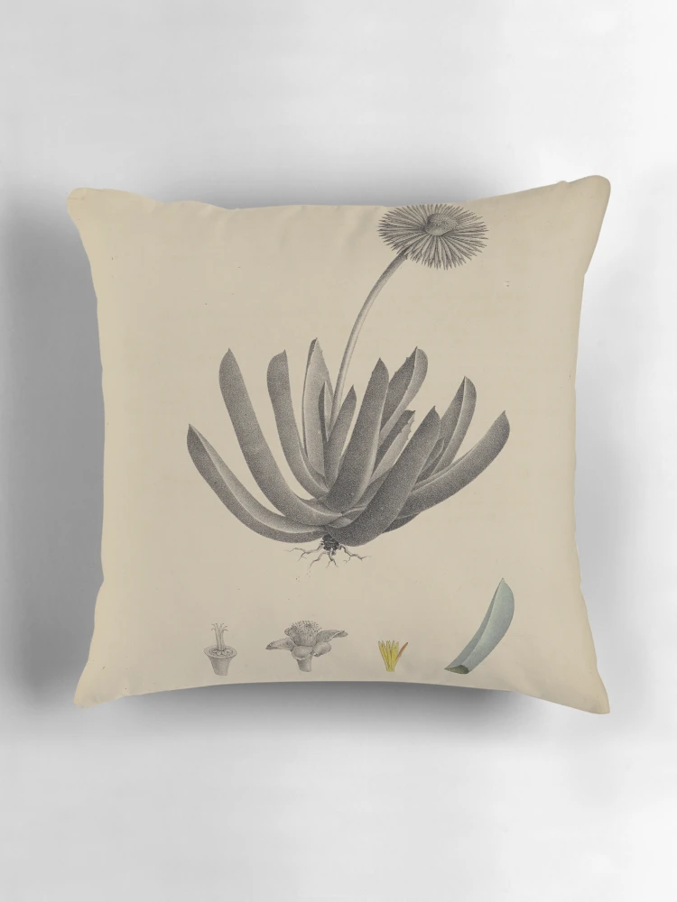 Aperçu 3 sur 4. Coussin avec l'œuvre Monographia generum aloes et mesembryanthemi... créée et vendue par Rodeoclash.