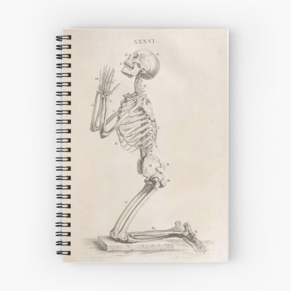 Artikelvorschau, Osteographia or the Anatomy of... entworfen und verkauft von Rodeoclash.