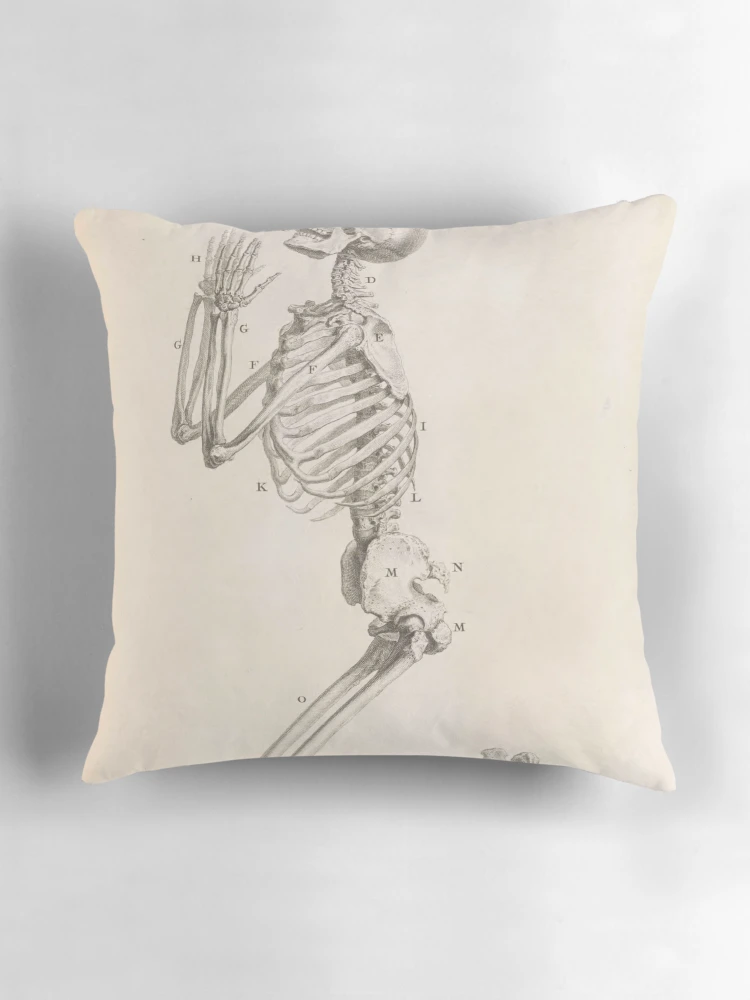Aperçu 3 sur 4. Coussin avec l'œuvre Osteographia or the Anatomy of... créée et vendue par Rodeoclash.