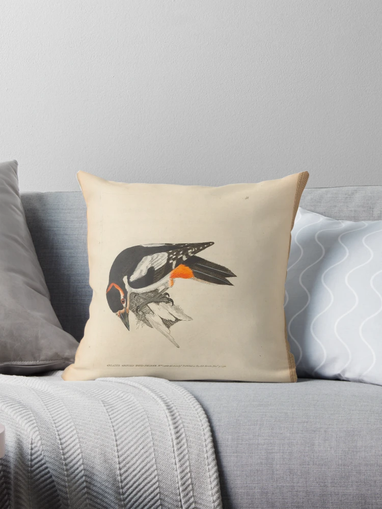 Aperçu 1 sur 4. Coussin avec l'œuvre The birds of Great Britain... créée et vendue par Rodeoclash.