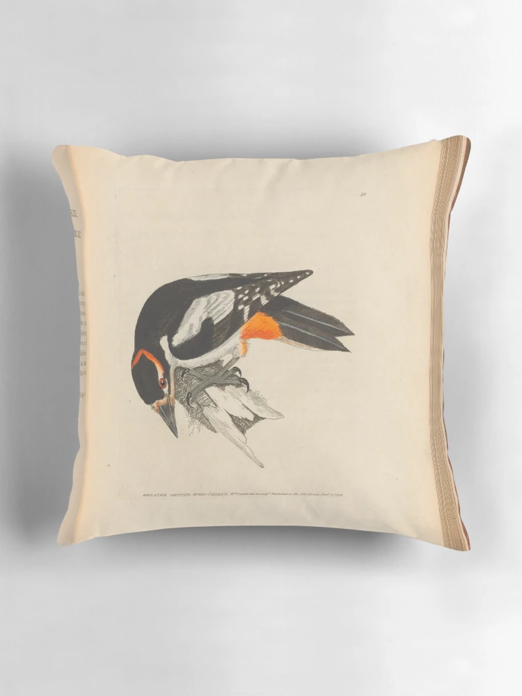 Aperçu 3 sur 4. Coussin avec l'œuvre The birds of Great Britain... créée et vendue par Rodeoclash.