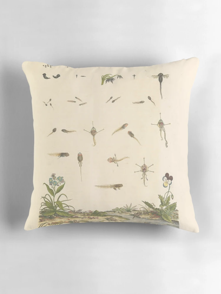 Aperçu 3 sur 4. Coussin avec l'œuvre Historia naturalis ranarum nostratium Nürnberg... créée et vendue par Rodeoclash.