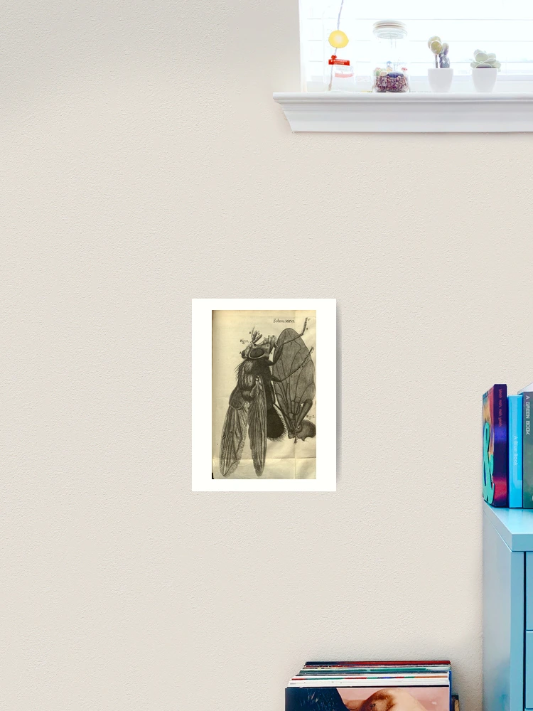 Thumbnail 2 von 3, Kunstdruck, Micrographia or Some physiological descriptions... designt und verkauft von Rodeoclash.